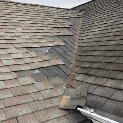 9. Roof Repair